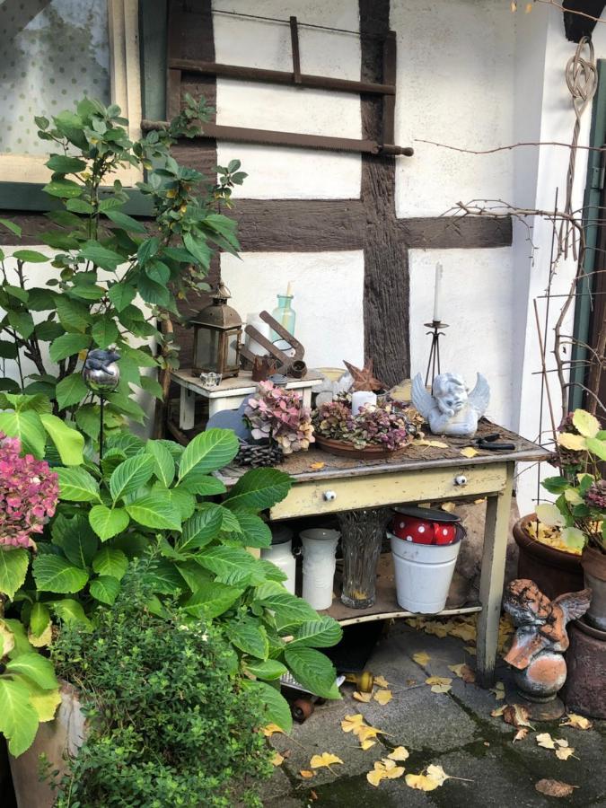 Platzhirsch Seligenstadt - Im Herzen Der Altstadt 外观 照片